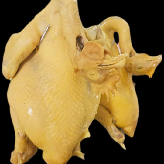 Gà Hải Nam 1/2 con